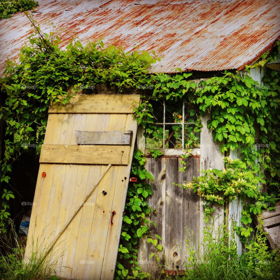 Abandoned old garden shed