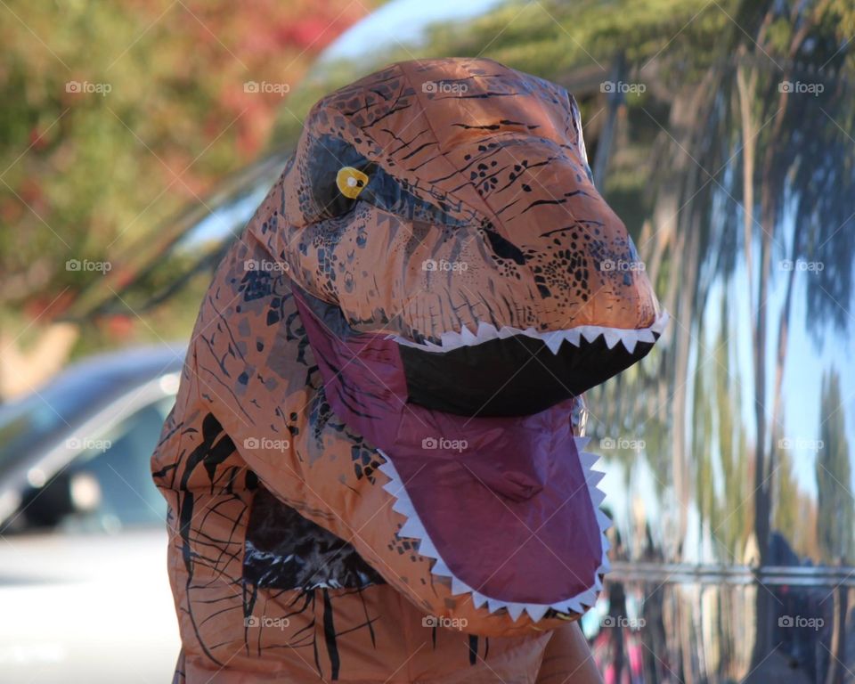 T-Rex Costume