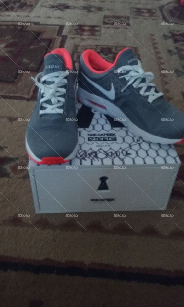 special edition Pigeon Nike Airmax zero with the singiture box