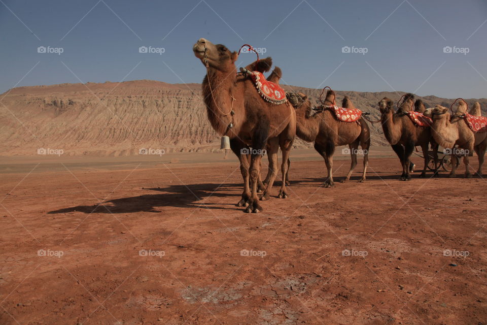 So flattered so proud 