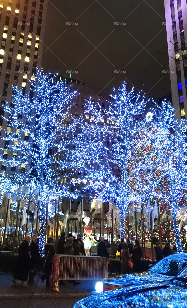 Christmas time - tree with illumination