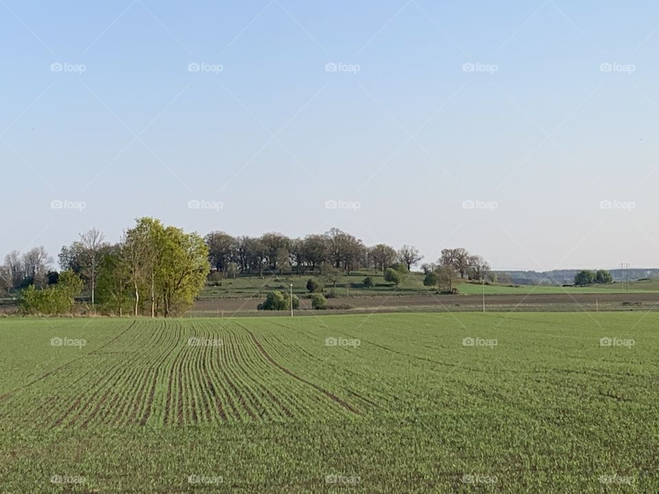 Agriculture, Cropland, Field, Landscape, Farm