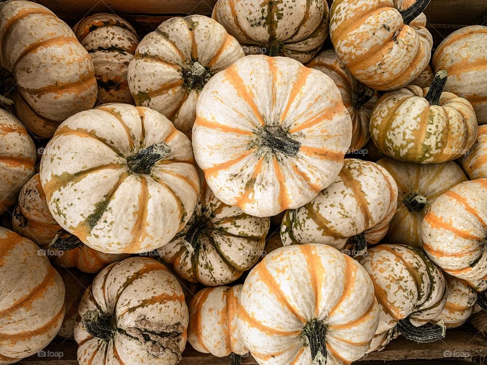 Pumpkins