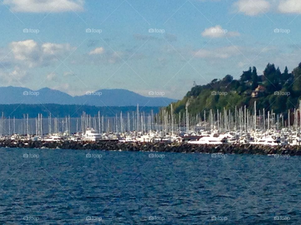 Sailboats in Seattle