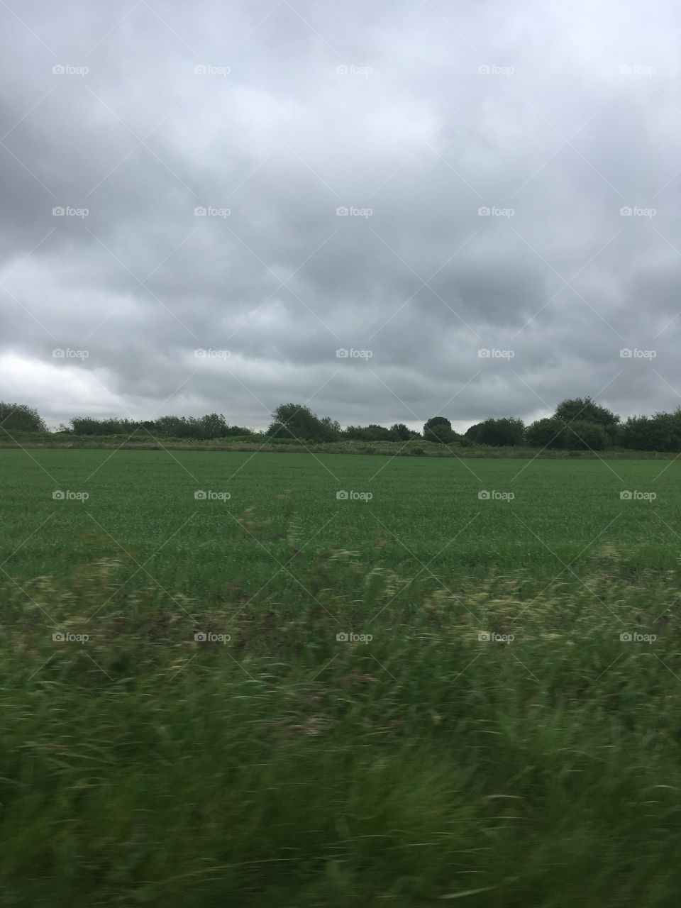 Grey Skies on Green Fields