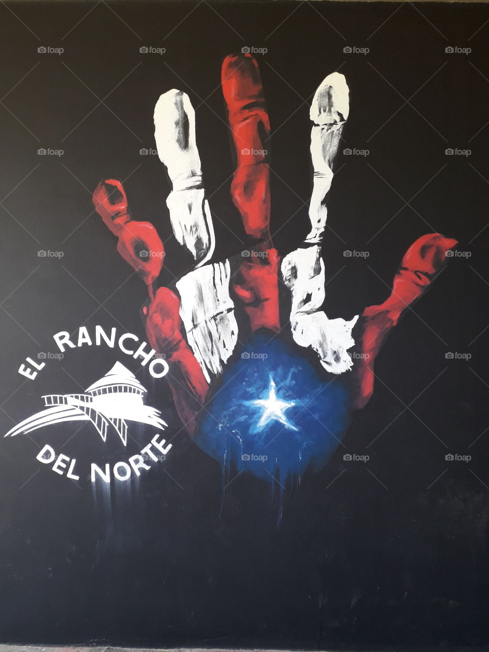 Hand Puerto Rico Flag Painting