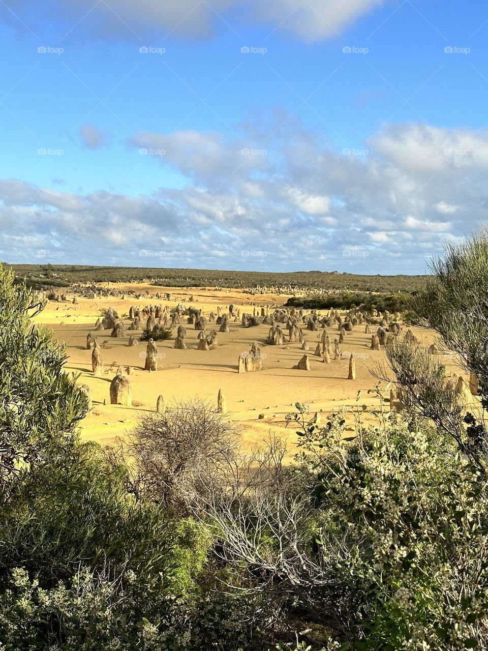 The Pinnacles of Western Australia