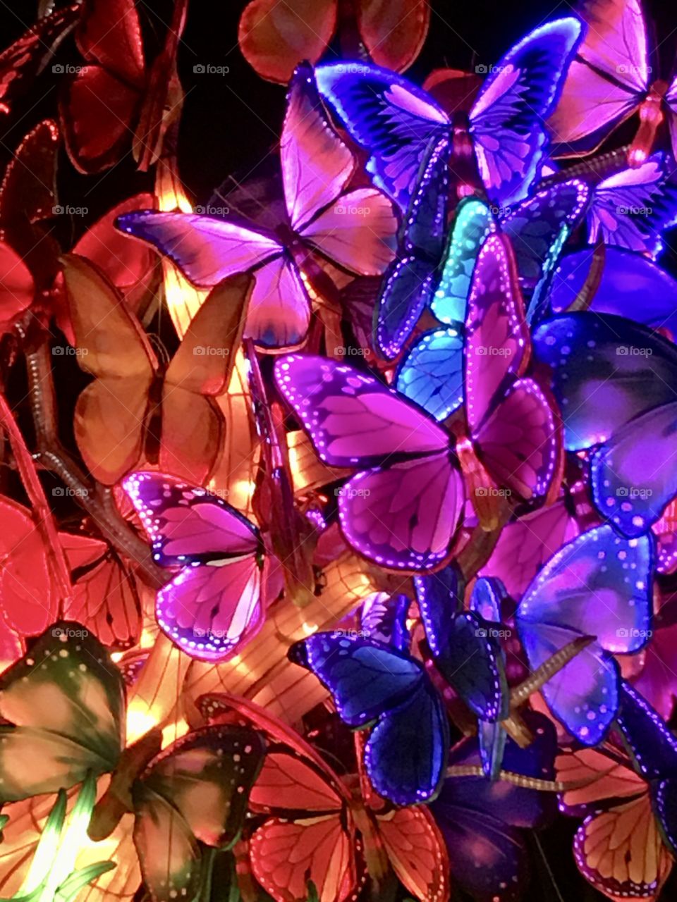 Beautiful, brightly colored, lighted butterflies 