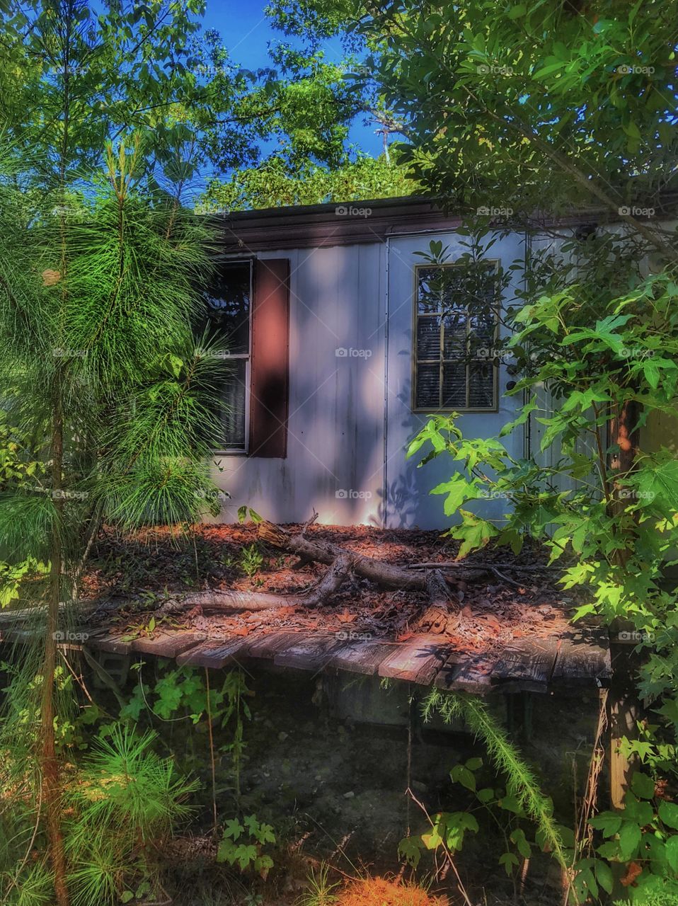 Trailer In Beauty #2