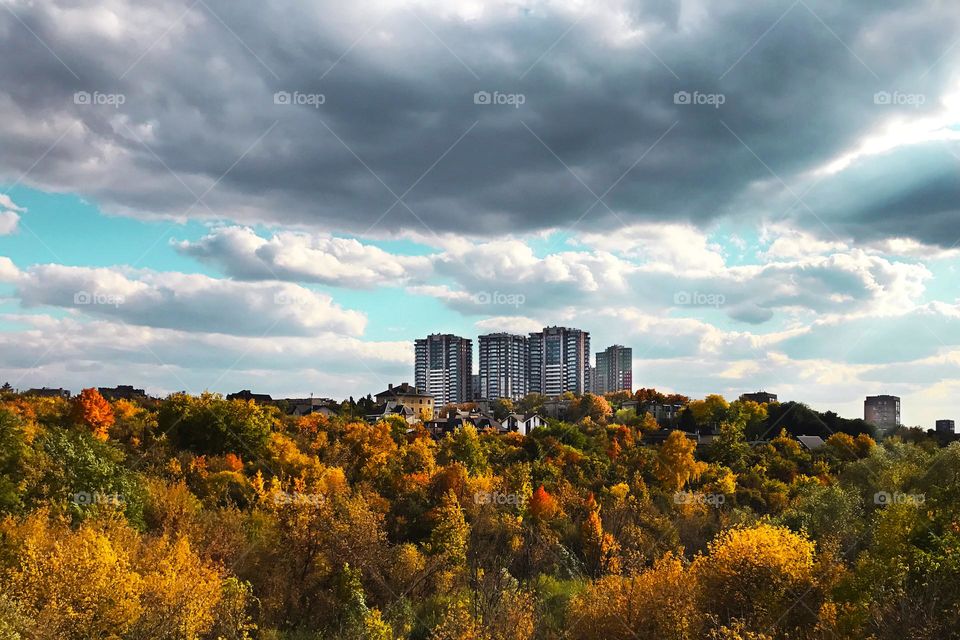 Autumn nature in the city 