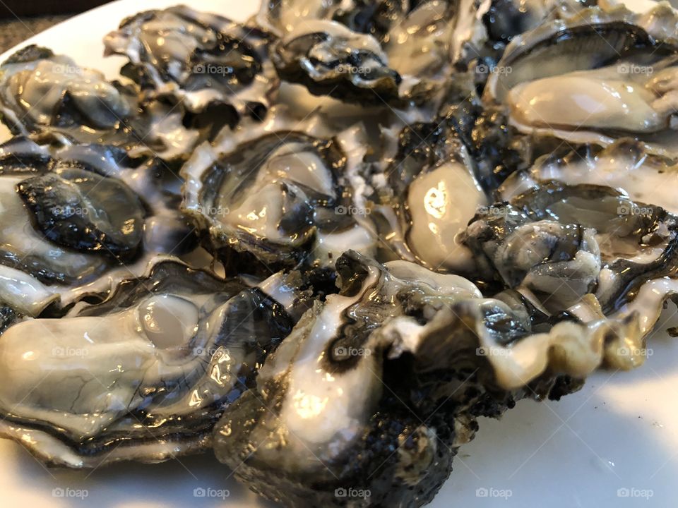 Fresh oysters