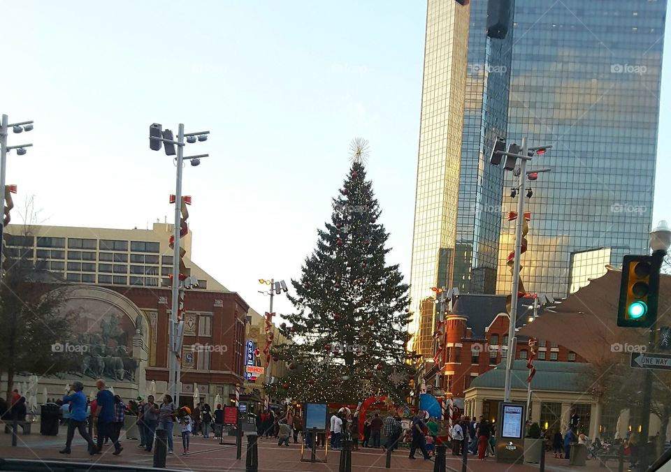 FORT WORTH  TX      Downtown