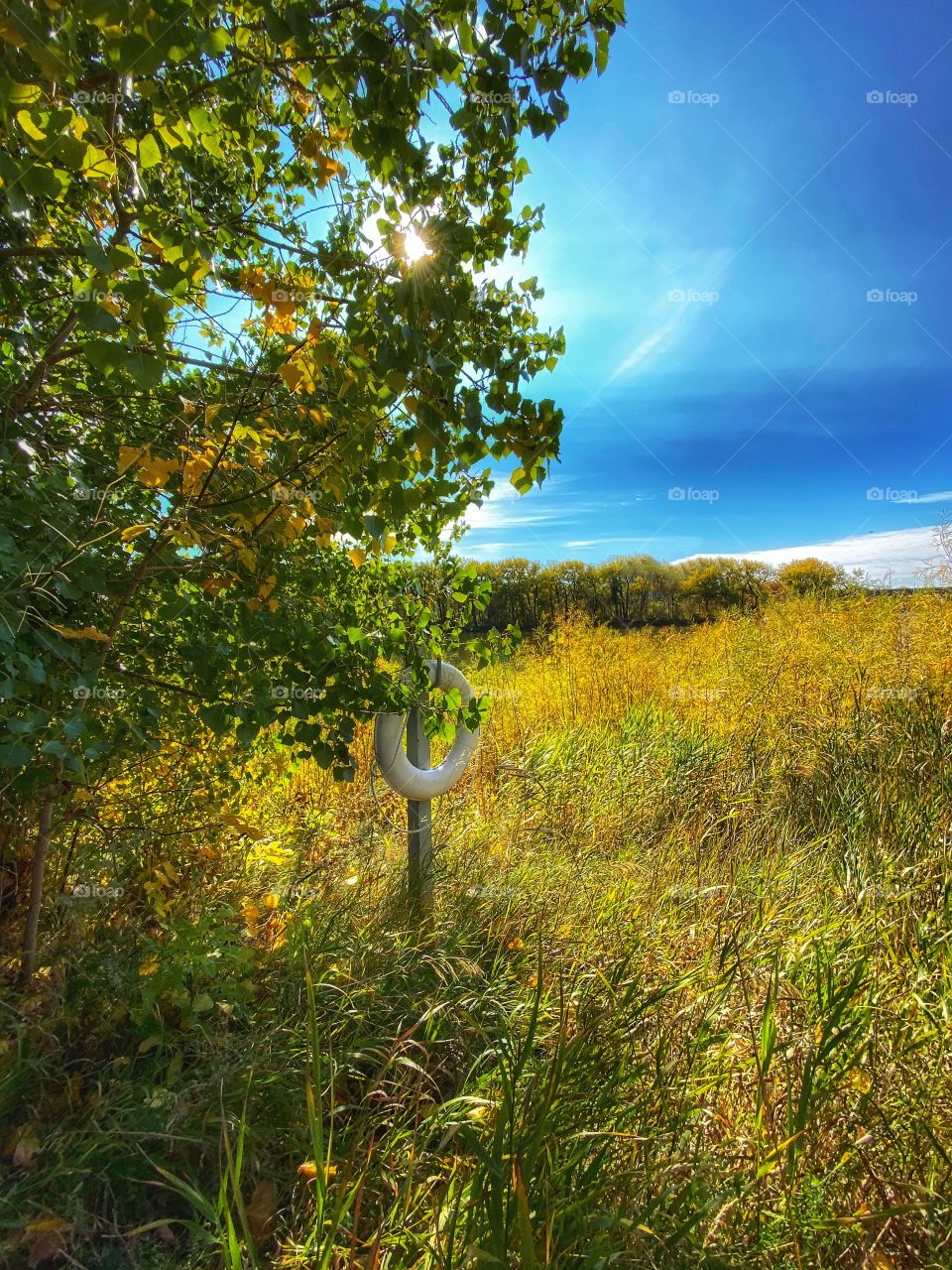 Prairies 