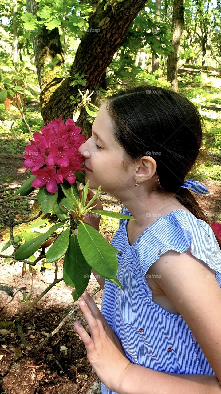 A girl in a blue blouse smells a large pink flower with her eyes closed. She enjoys the smell of the flower and smiles. Portrait in the botanical garden.