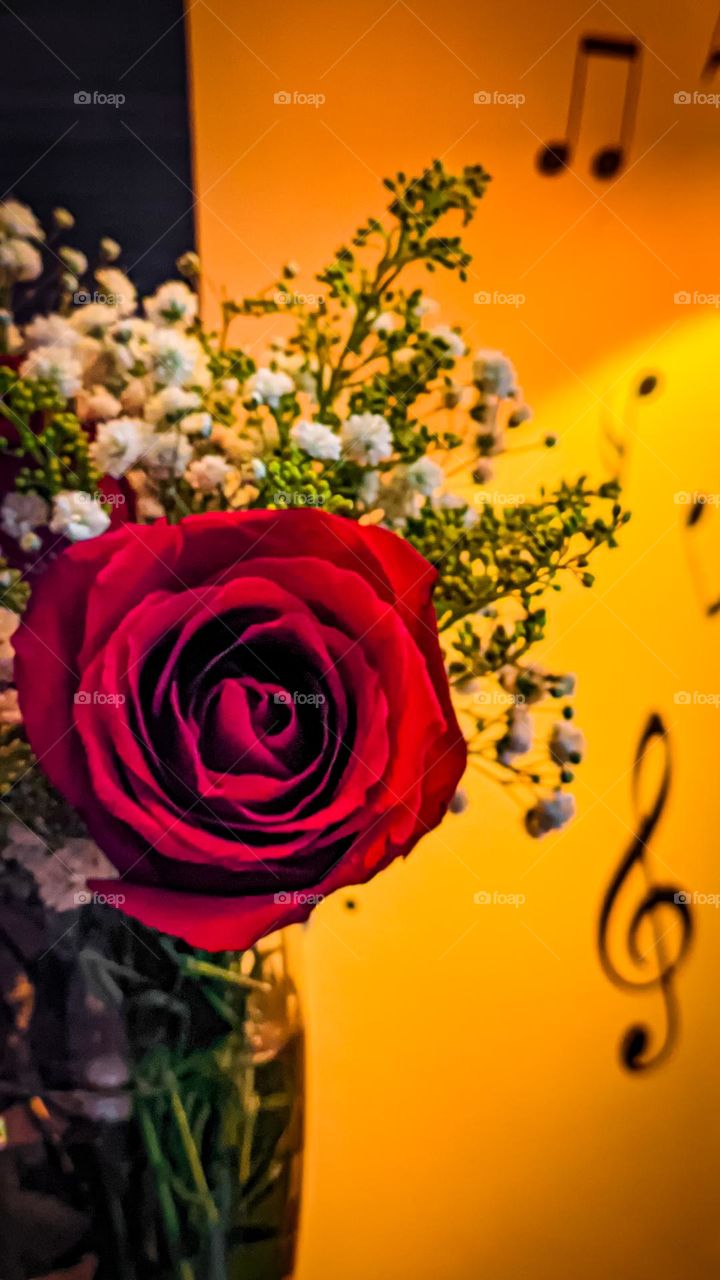 The name of the Rose