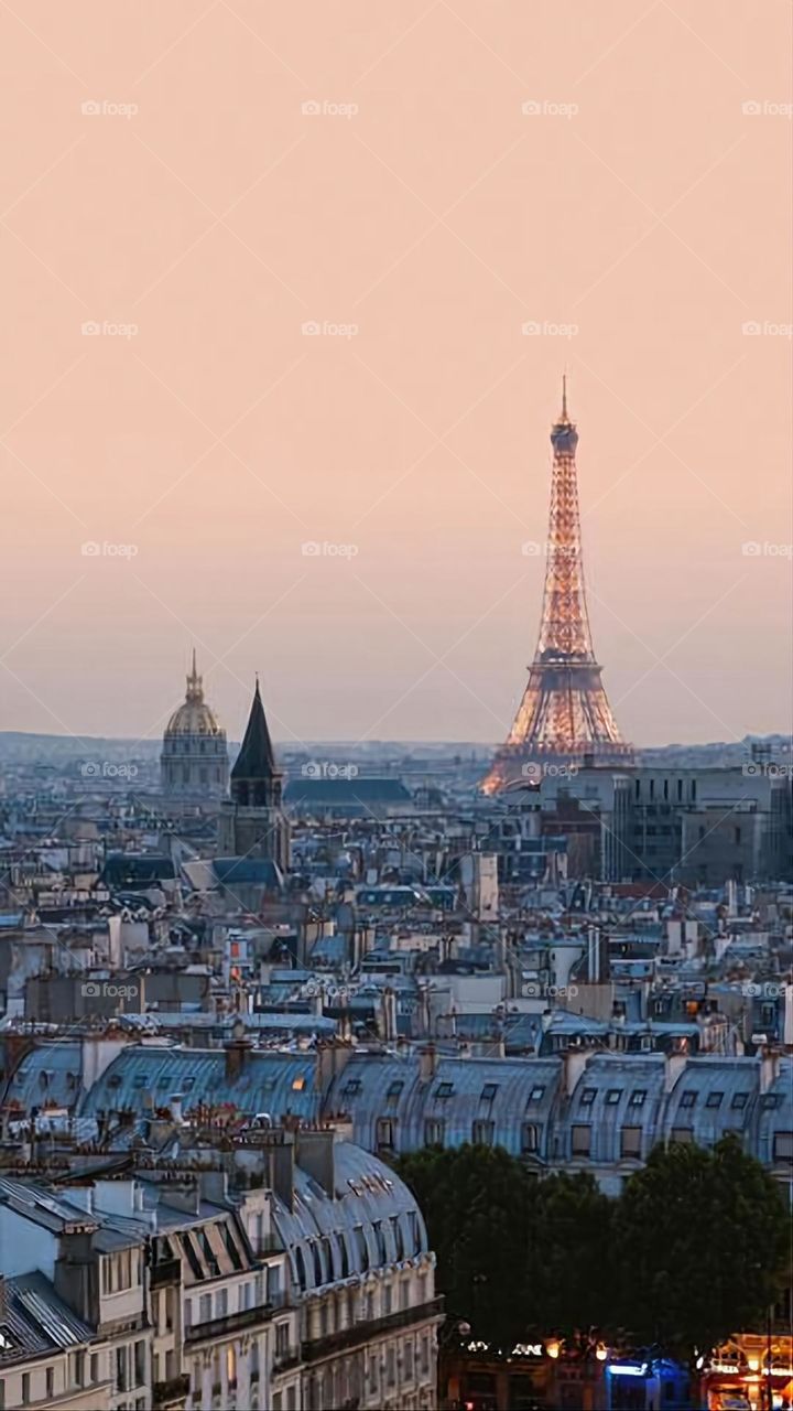 A very beautiful picture, and there is no better picture than it. There is no better picture of green herbs and colorful, red and white roses than it. Glory be to God, the natural and picturesque view, and there is no more