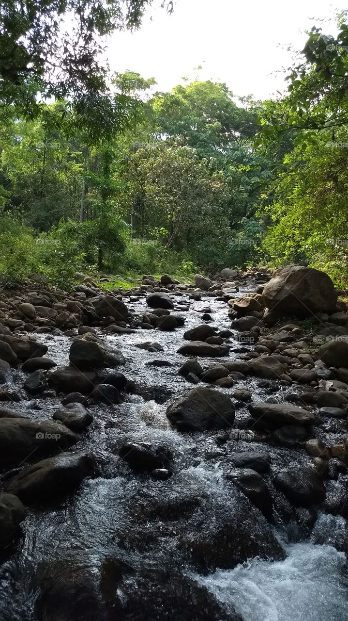 hiking trails