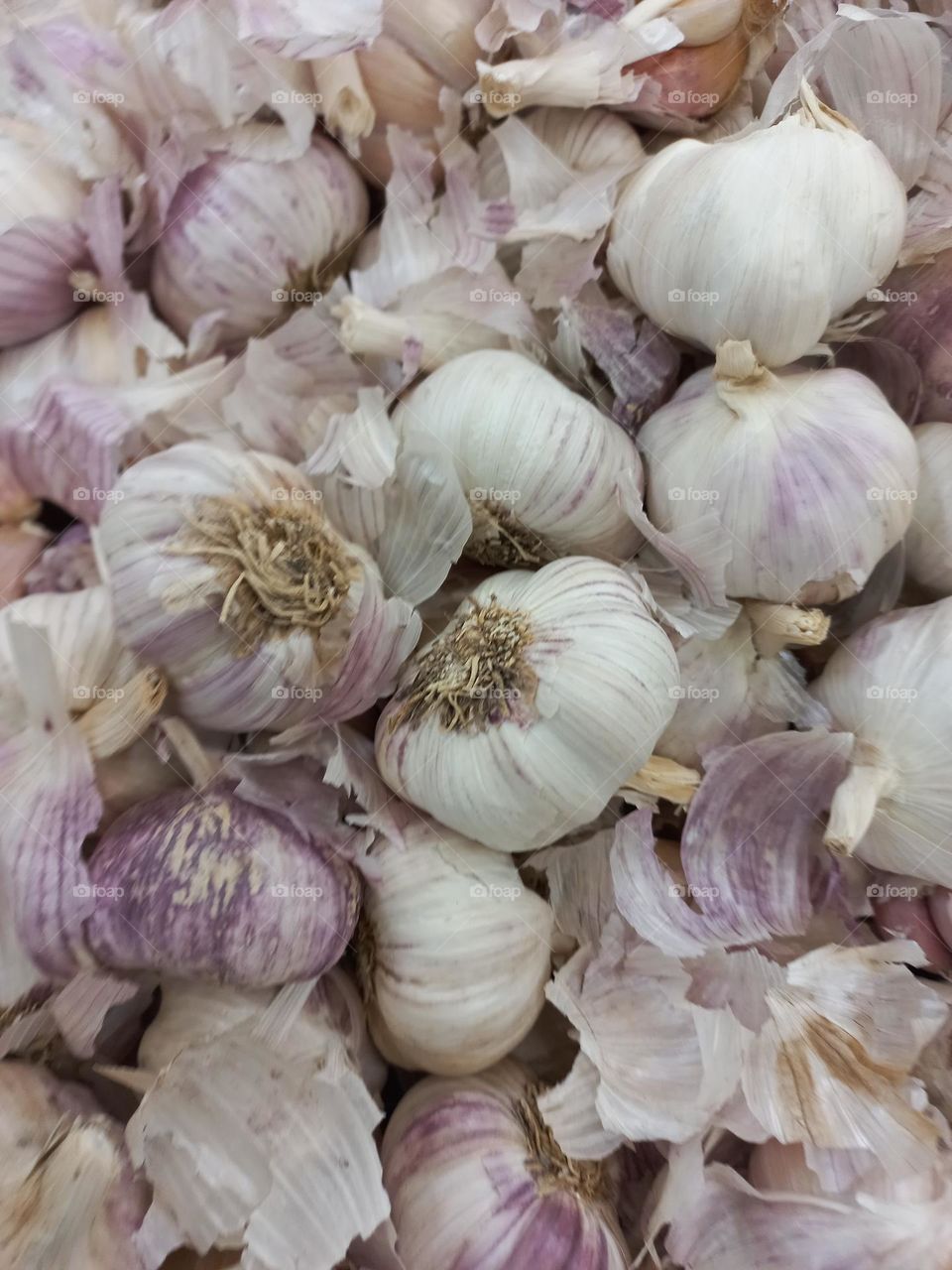 Alho. O alho é excelente para o coração e controle da pressão; suxilia no aumento da imunidade, ajudando a tratar gripes, resfriados e no combate à bactérias e fungos. Além de ter um agradável sabor e aroma