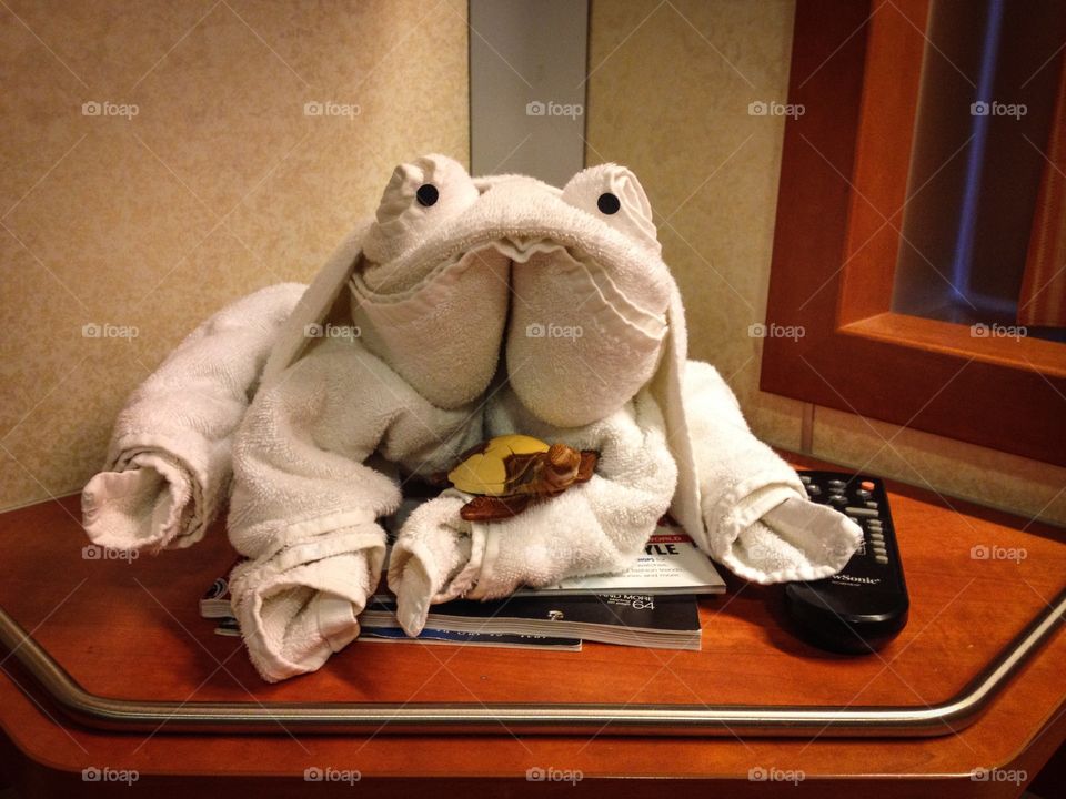 Towel Frog