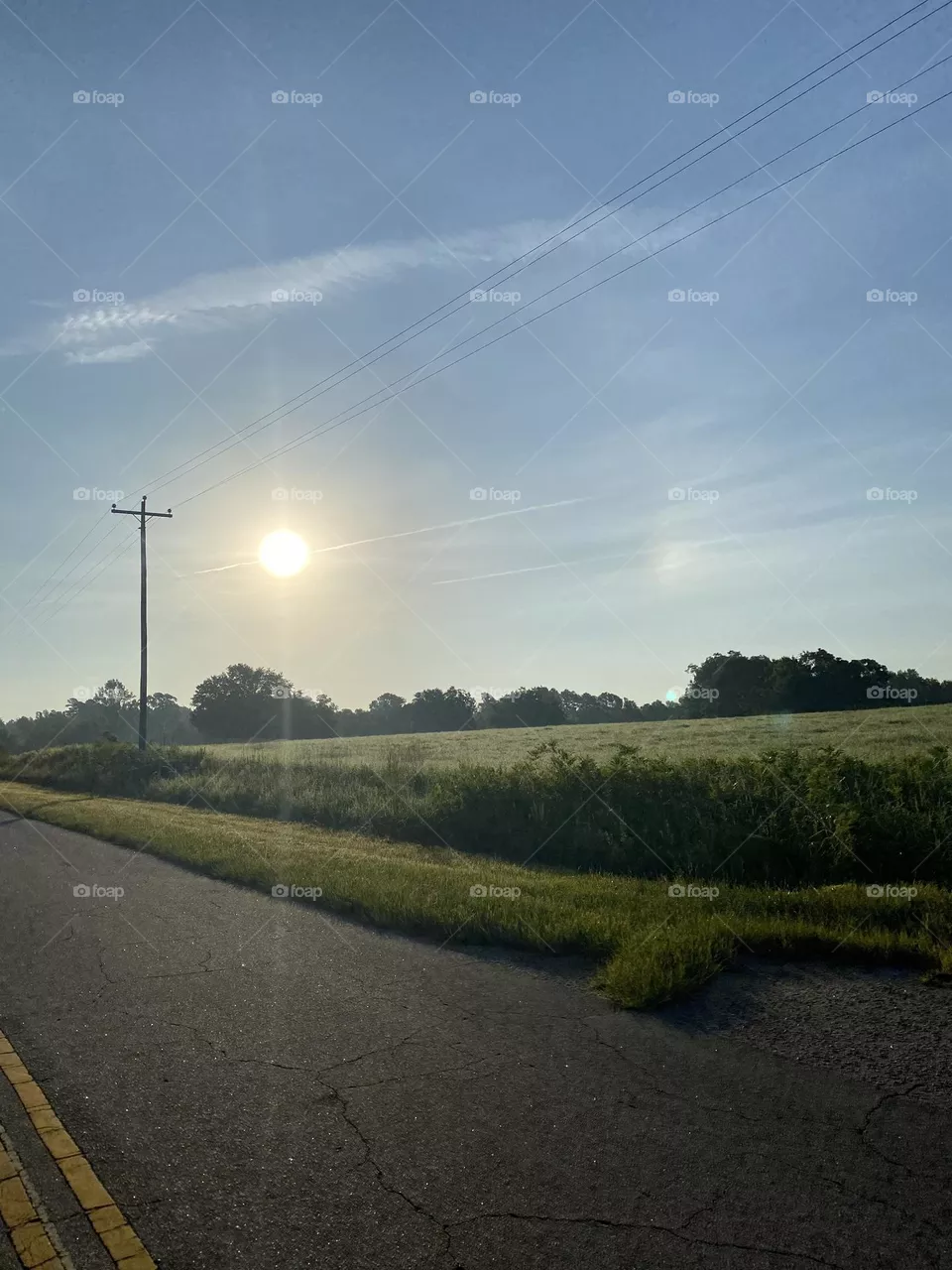 Sunshine 