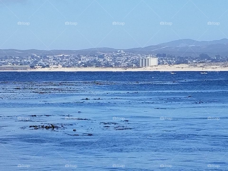 Monterey Ca