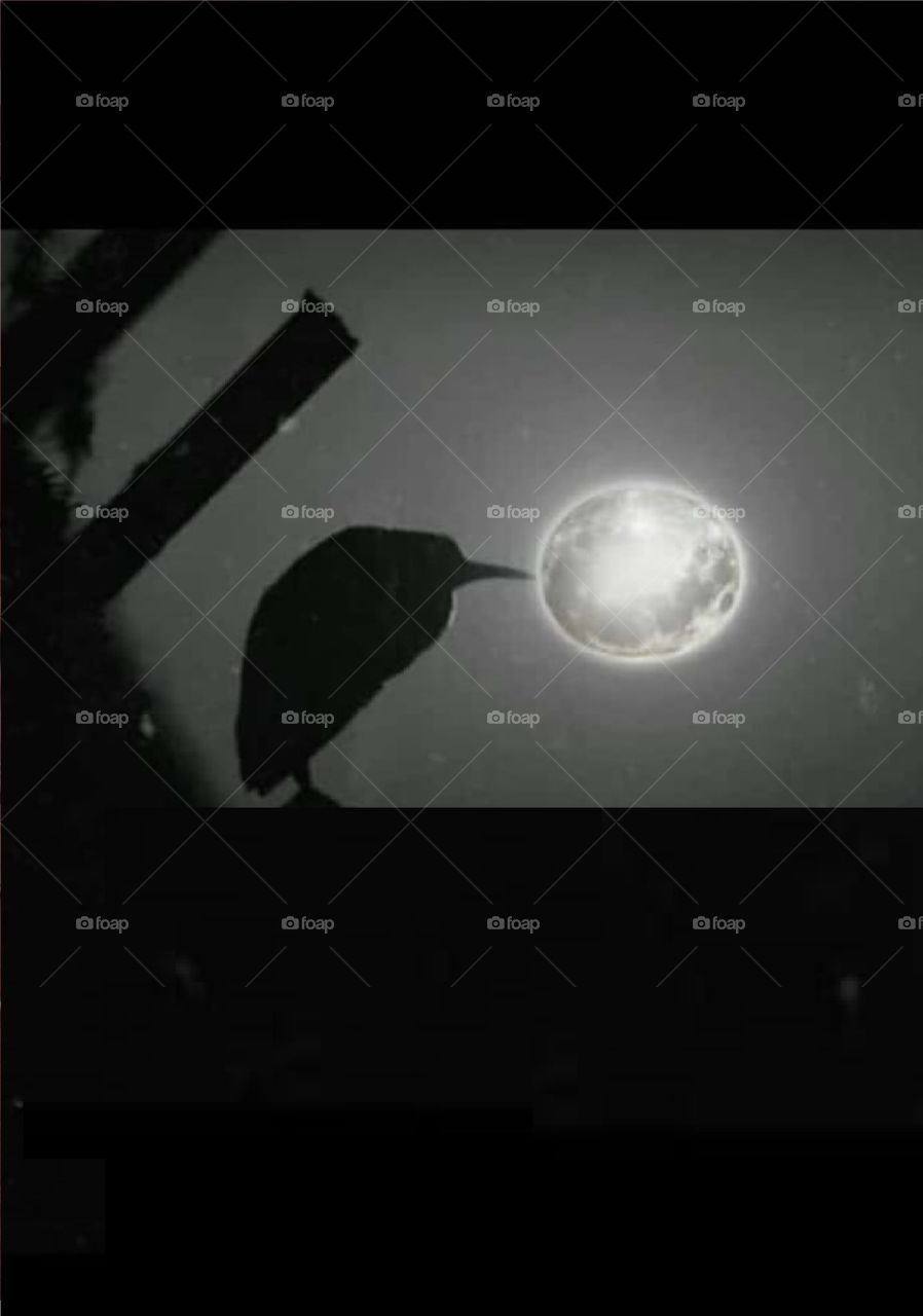 Does the full moon affect your sleep