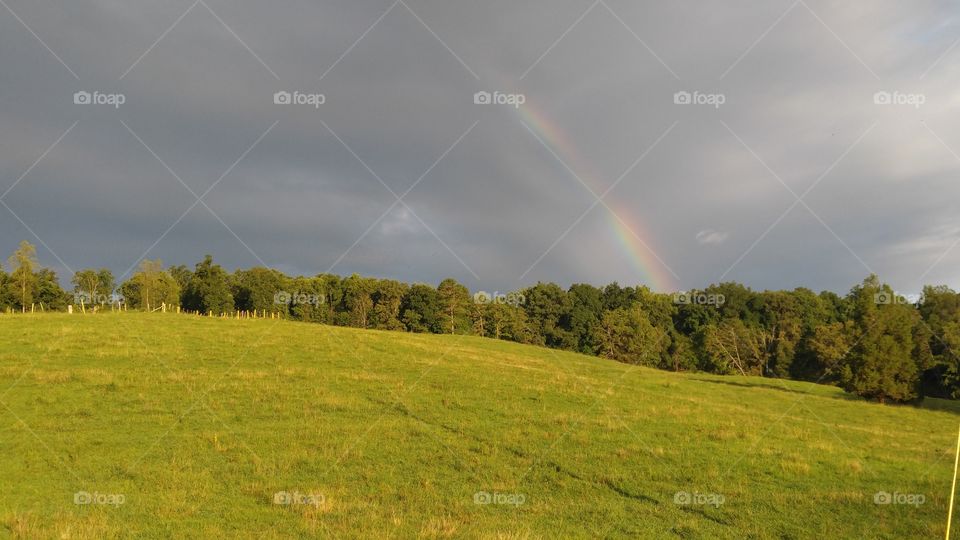 Landscape, No Person, Rainbow, Nature, Grassland