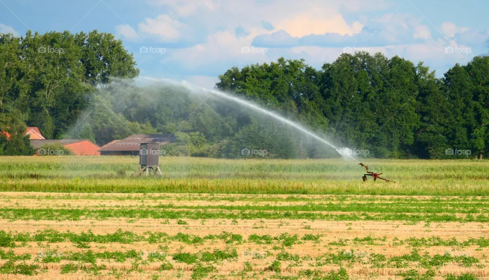 Bewässerung in der Landwirtschaft