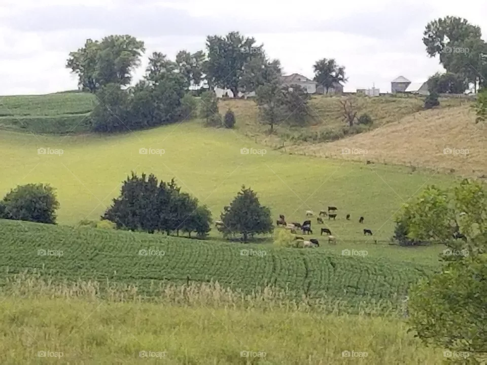 heartland