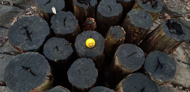 Logs
