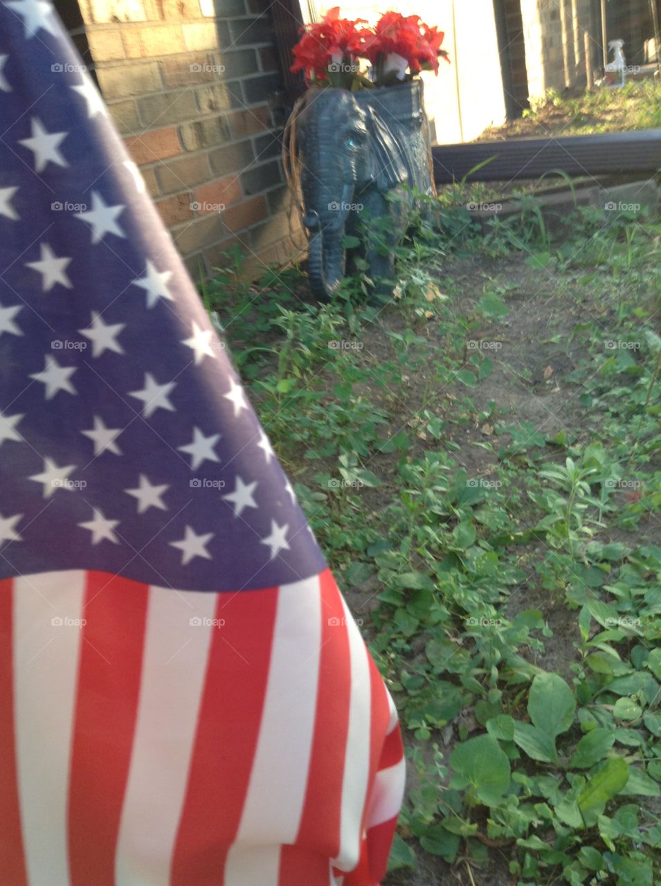 Flag and elephant planter