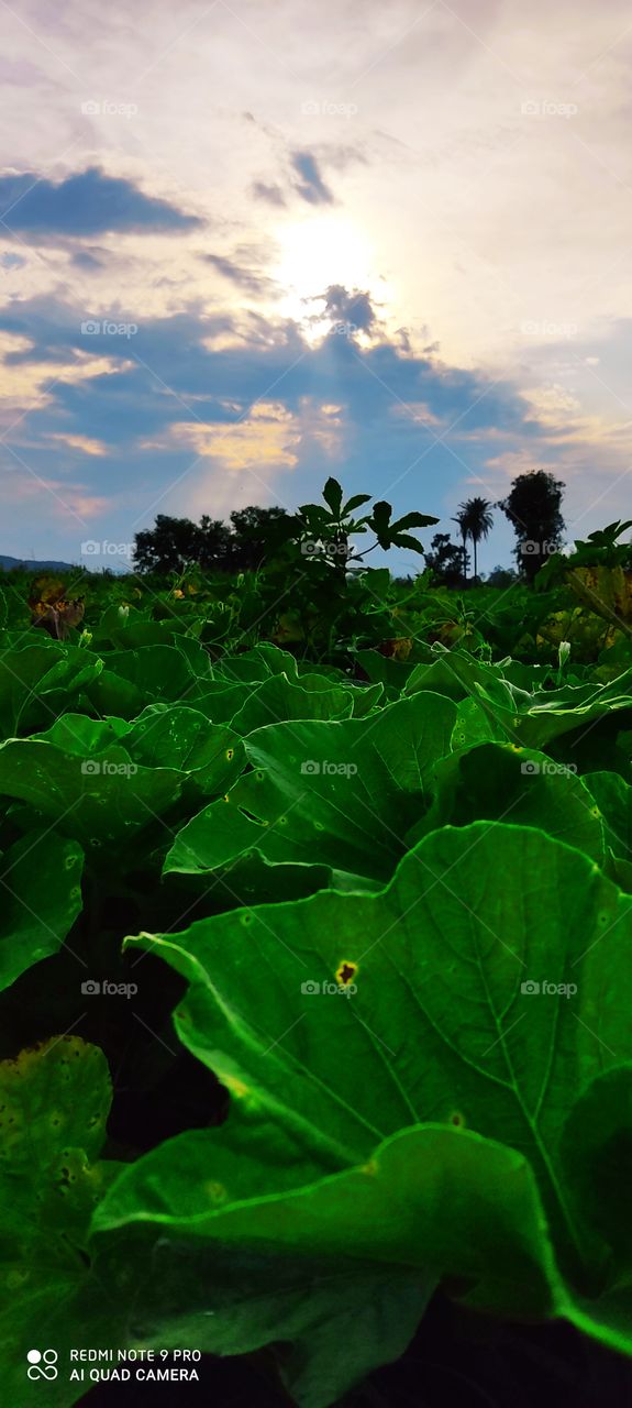 village beauty❤😍