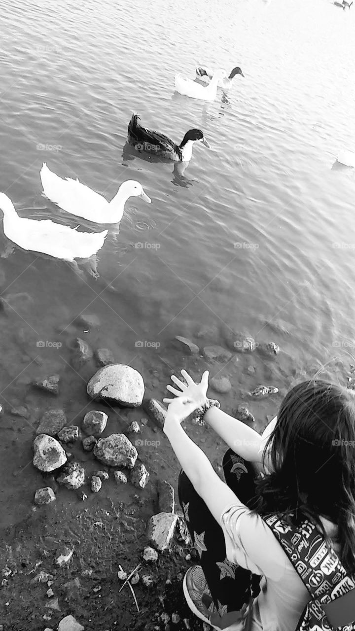 Hello, ducklings!!🦆🦆