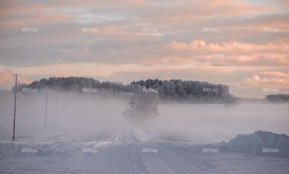 Countryside  winter road