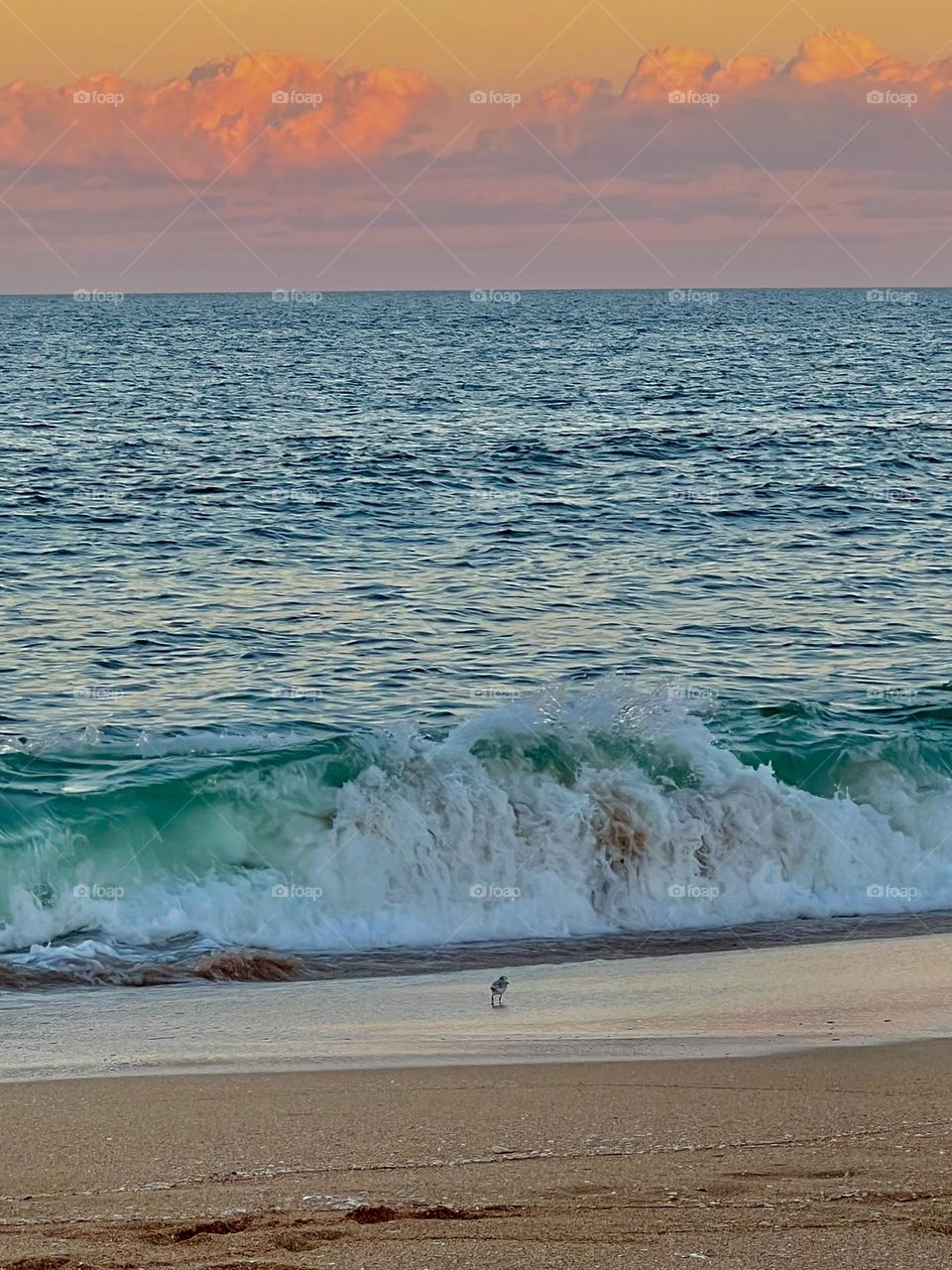 Sunset on the Atlantic