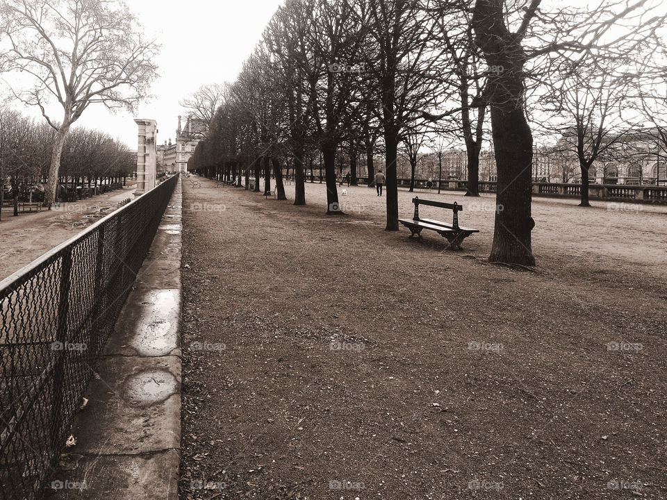 Walking in Paris 