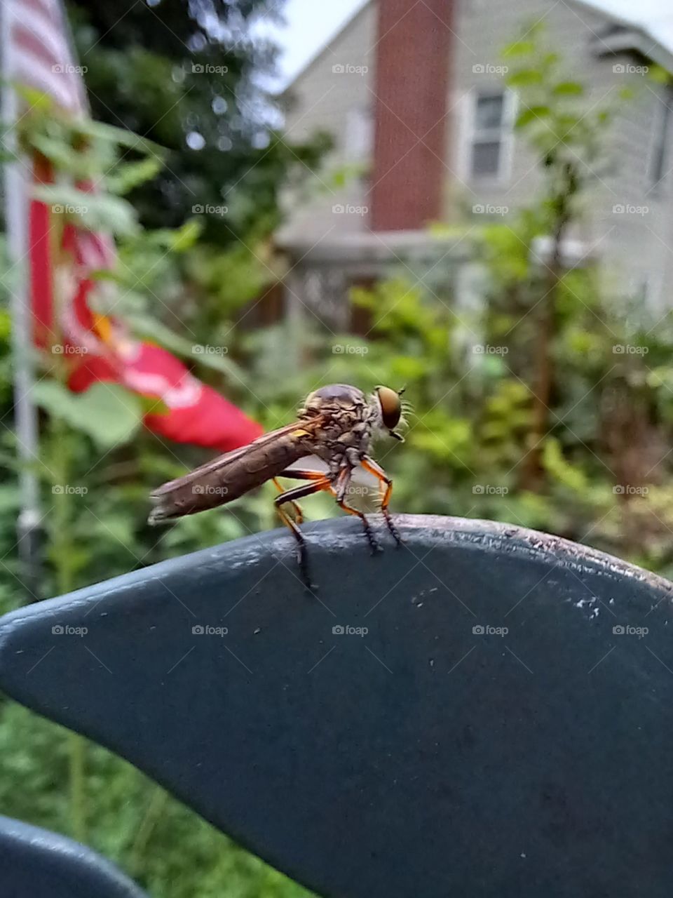 perched, taking a break.