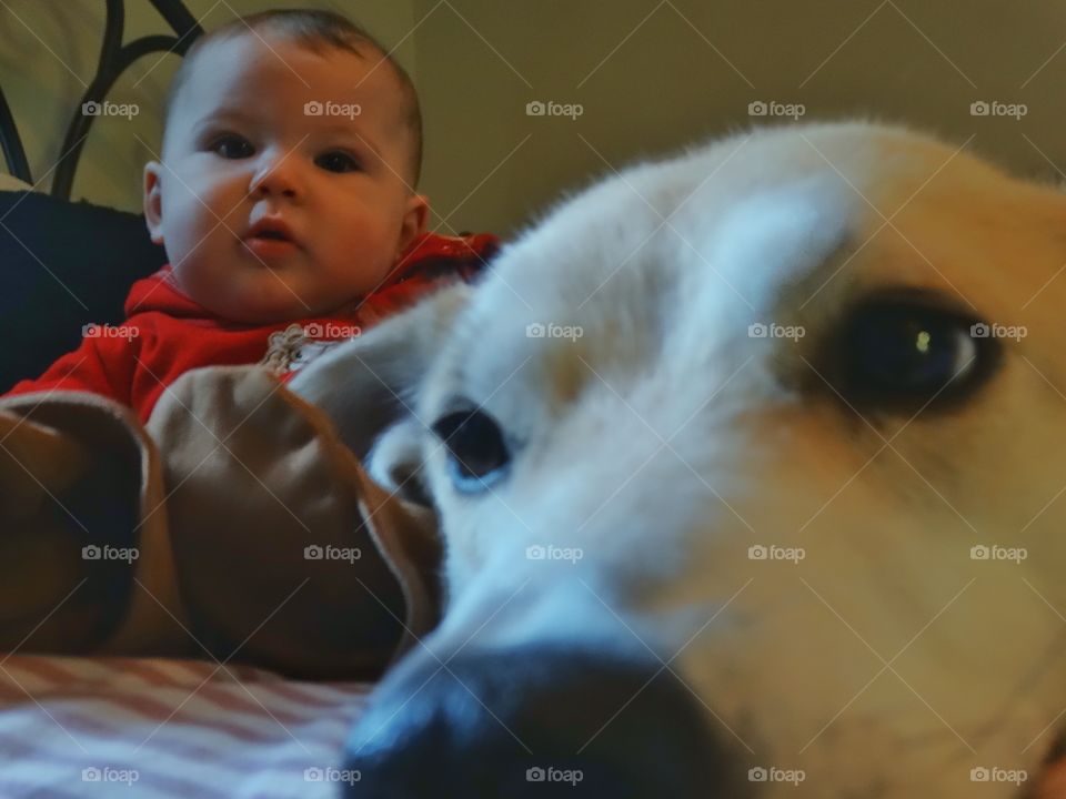 Baby With Dog