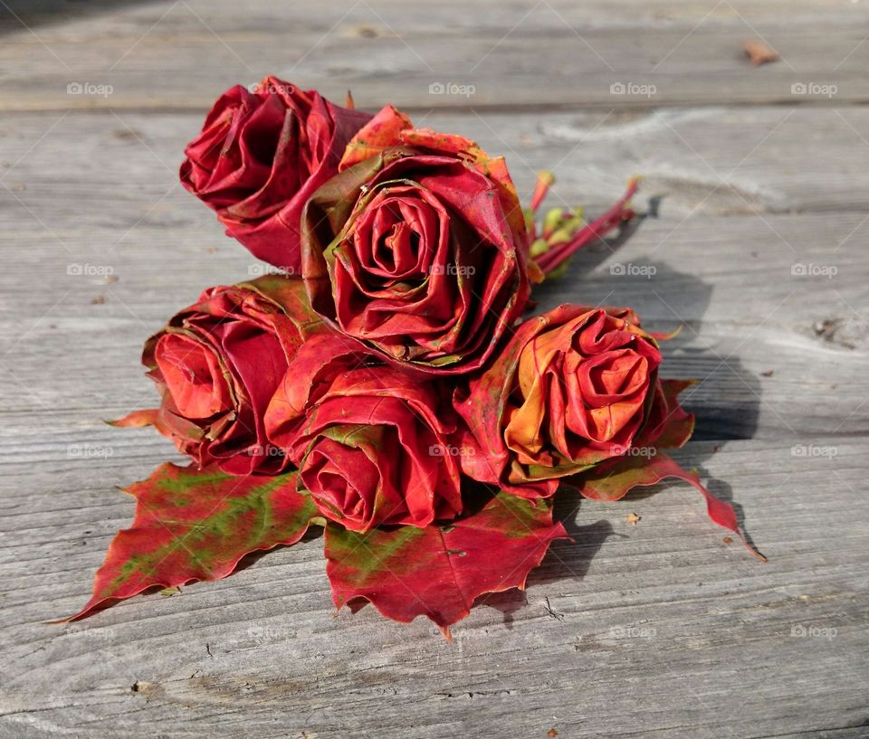 Roses made of leaves