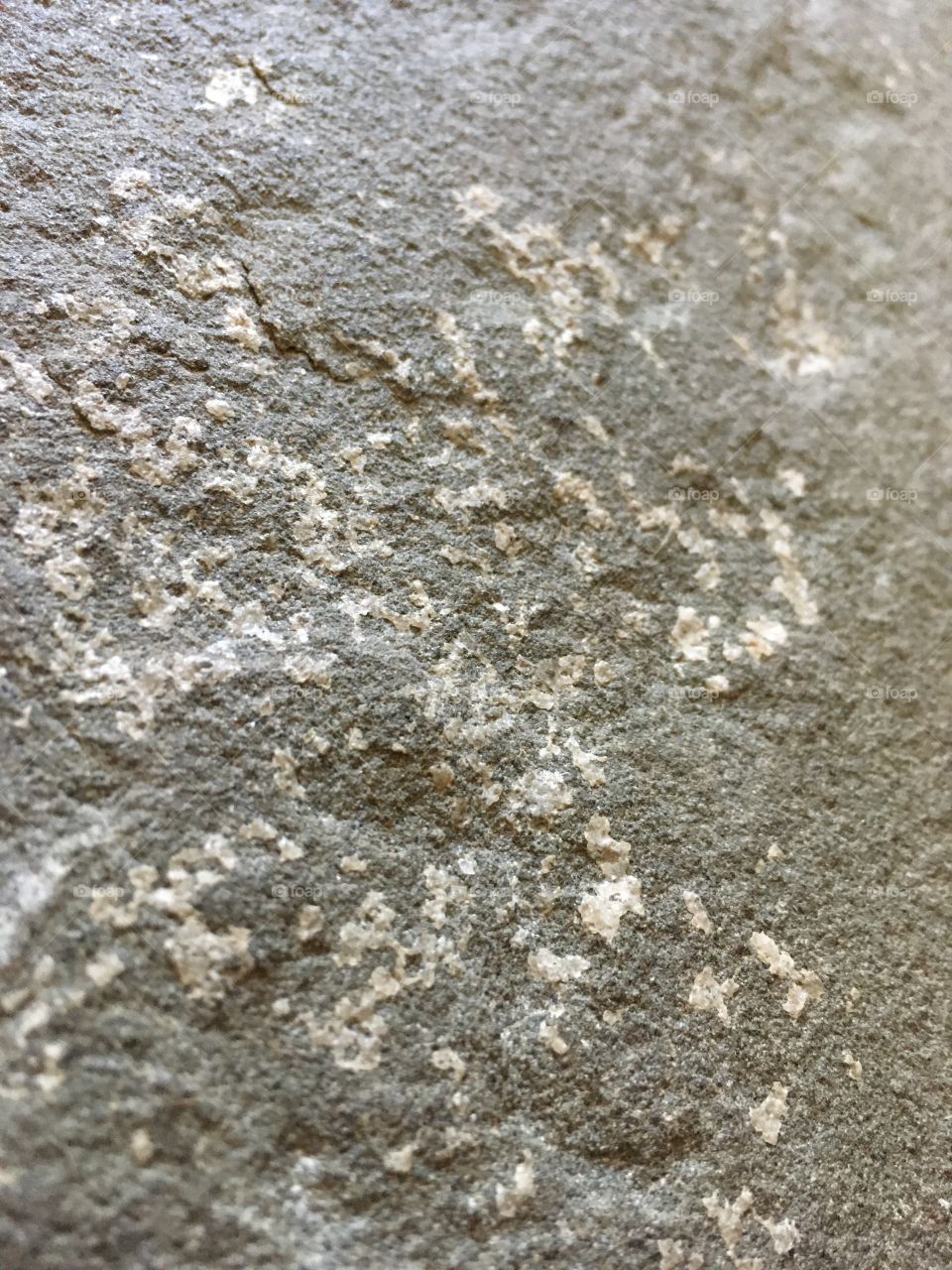 Detail shot of concrete surface