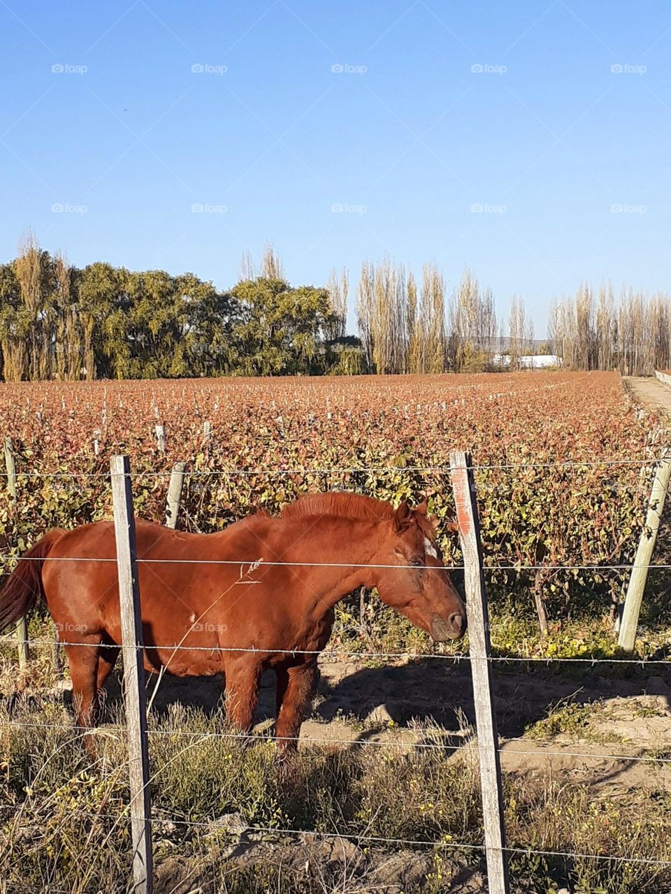 vacaciones y campo