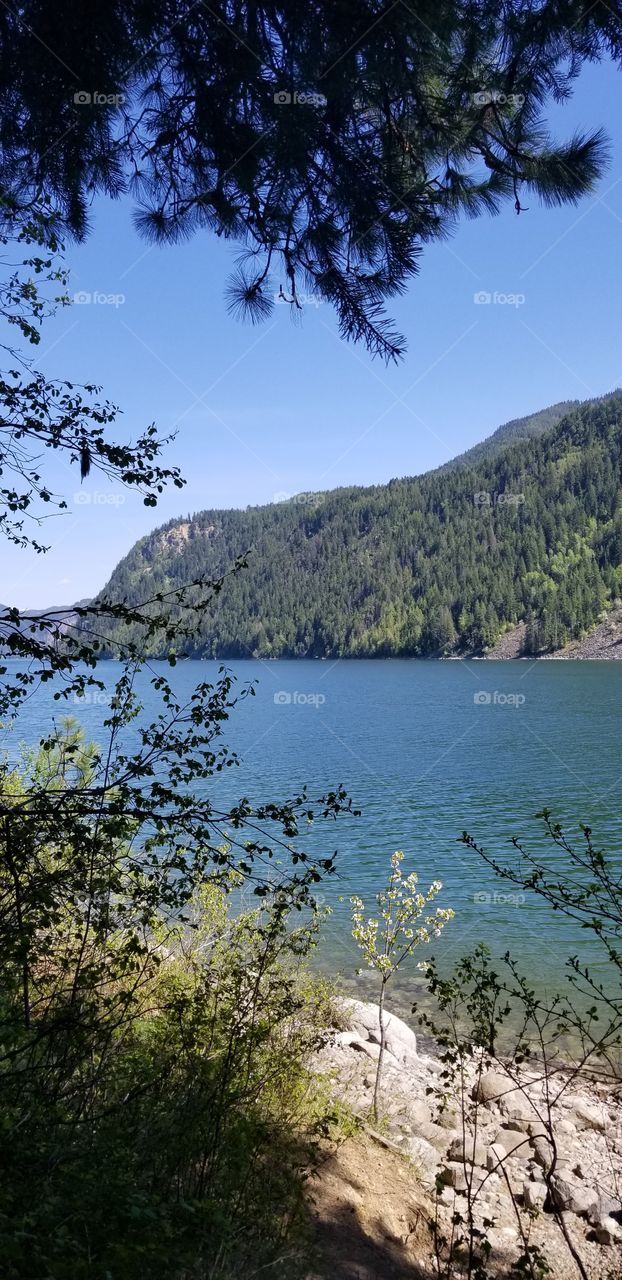a lake shoreline view of mountain ridge over branches with a sunny blue sky