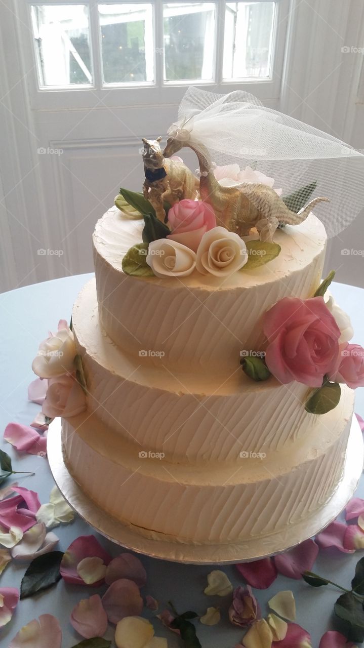 Dinosaur Wedding Cake
