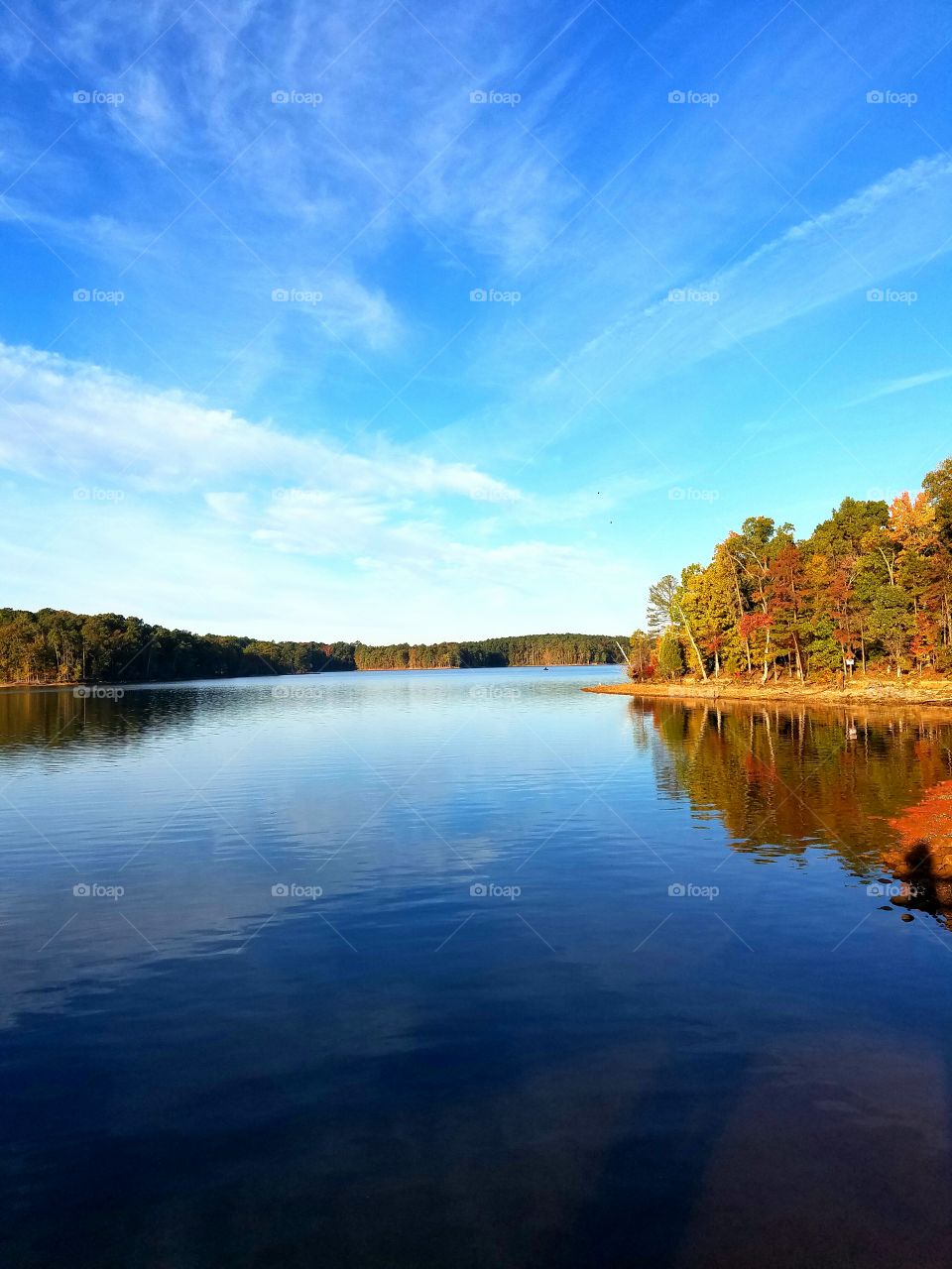 reflections on a lake