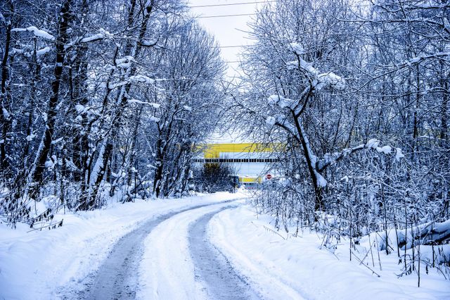 Winter road