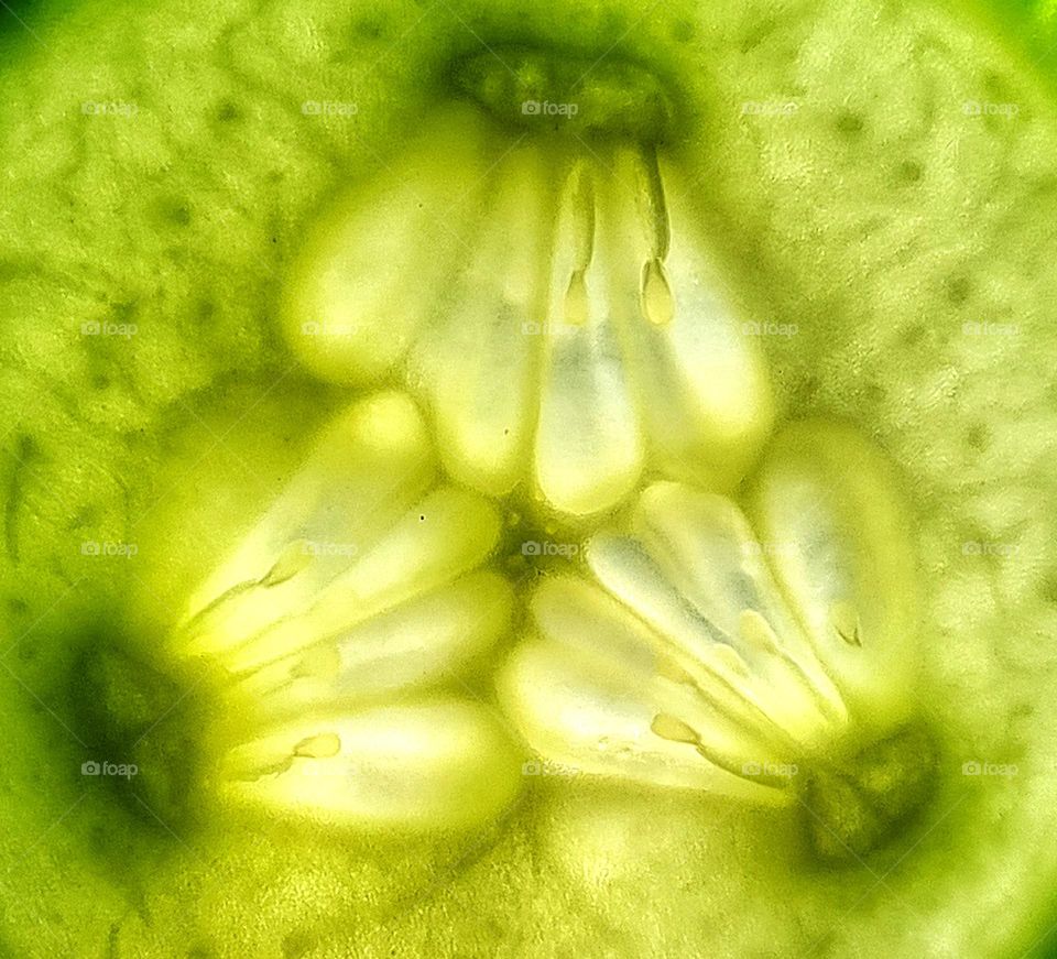 Flowers inside a cucumber