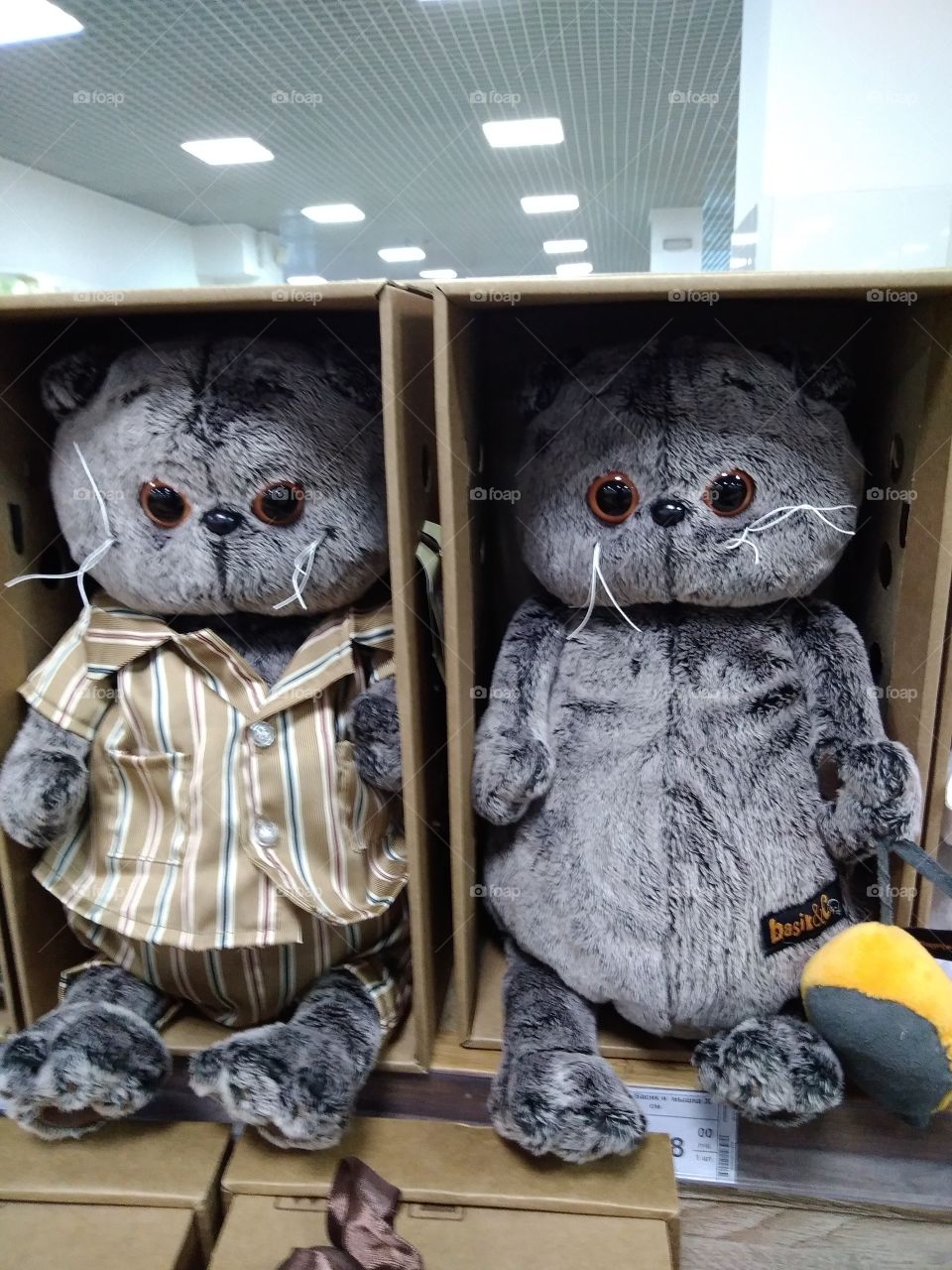Toy cats