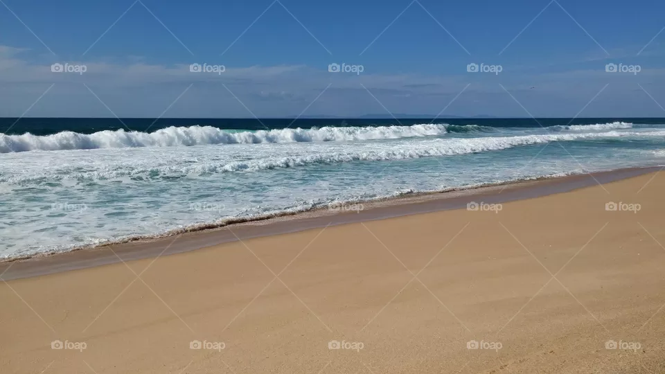 wild ocean