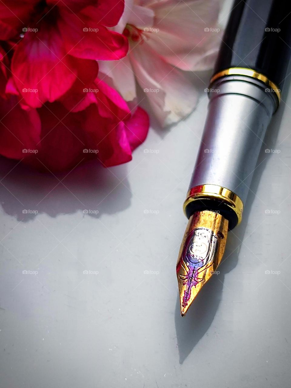 On a white background lies a metal ink pen.  There is a spot of purple ink on the surface of the metal pen.  Nearby are flowers: red and white.  A long shadow falls from the pen