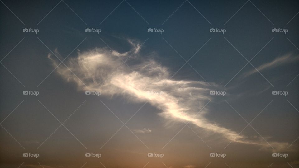 emperor scorpion shape in Skype.